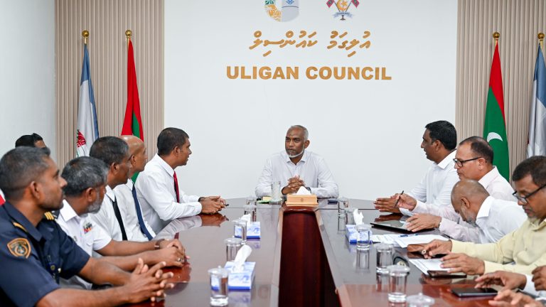ކައުންސިލްތަކުގެ ބިންތައް ސަރުކާރަށް ނެގޭ ގޮތަށް ލާމަރުކަޒީ ގާނޫނަށް ހުށަހެޅި ބިލު މަޖިލީހުން ފާސްކޮށްފި