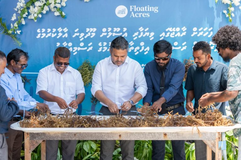 ވިޔަފާރި އުސޫލުން މޫދުވިނަ އާލާކުރުމުގެ މަޝްރޫޢު މިއަދު ފަށައިފި