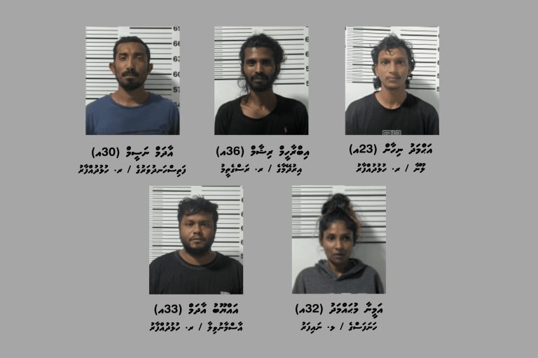 މަސްތުވާތަކެތި ބޭނުންކުރަނިކޮށް ރަސްގެތީމުން 9 މީހުން ހައްޔަރުކޮށްފި