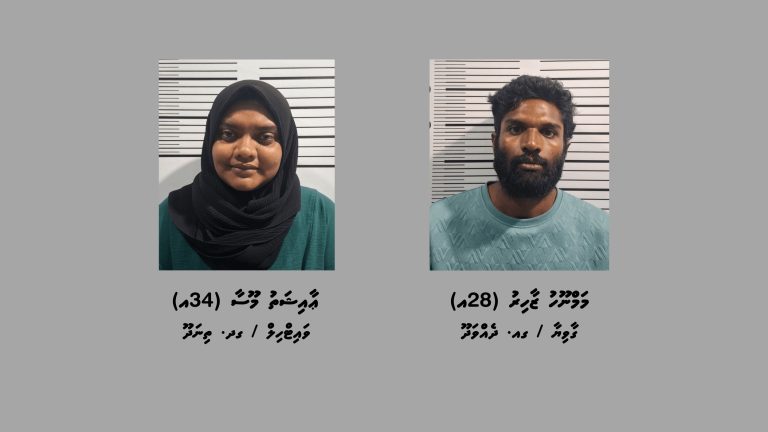 ދެއްވަދޫއަށް މަސްތުވާތަކެތި އެތެރެކުރަން އުޅުނުކަމުގެ ތުހުމަތުގައި ދެ މީހަކު ހައްޔަރުކޮށްފި