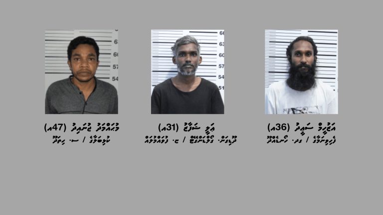 ސްކޭމްކޮށްގެން ފައިސާ ހޯދި 3 މީހަކު ހައްޔަރުކޮށްފި