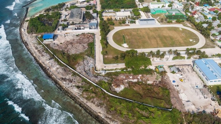 ރުކަކުން ވެއްޓި އަނިޔާވި މީހާ ނިޔާވެއްޖެ