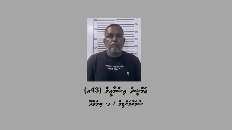 ބިލެތްދޫއަށް މަސްތުވާތަކެތި އެތެރެކުރިކަމުގެ ތުހުމަތުގައި މީހަކު ހައްޔަރުކޮށްފި