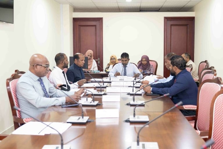 މެންބަރުންގެ ހެލްތު އިންޝުއަރެންސް ކަނޑާލަން ހުށަހެޅި ޕެޓިޝަނަށް މާލިއްޔަތު ކޮމިޓީގެ ލަފާ ހޯދަނީ