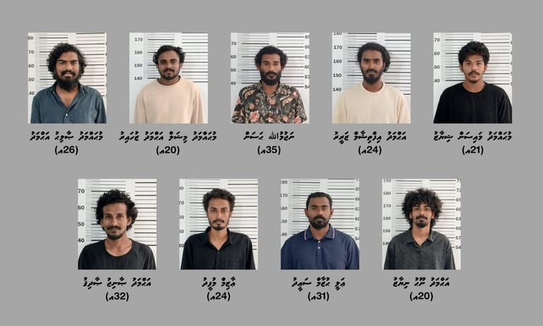 ޖިންސީ ގޯނާގެ މައްސަލައިގައި ހައްޔަރުކުރި 9 މީހުންގެ ވަނަވަރު އާންމުކޮށްފި