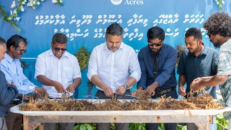 މޫދުވިނަ ހެއްދުމުގެ ހުއްދަ އިތުރު 3 ރަށަކަށް ދެނީ