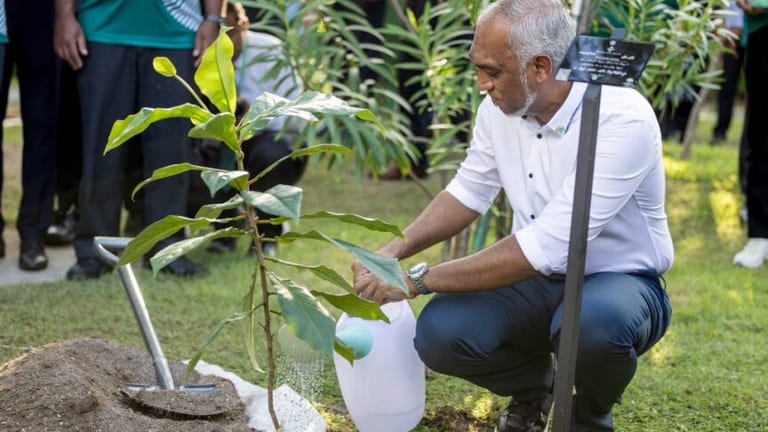 އިގްތިސާދު ސިންދަފާތު ކުރުމުގައި ދަނޑުވެރިންގެ ދައުރު ބޮޑު: ރައީސް